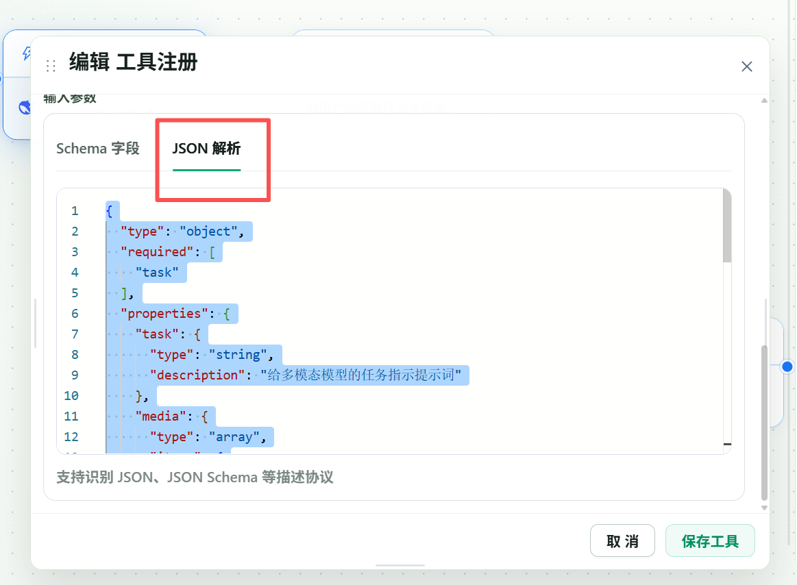 JSON Schema configuration for the mounted vision tool